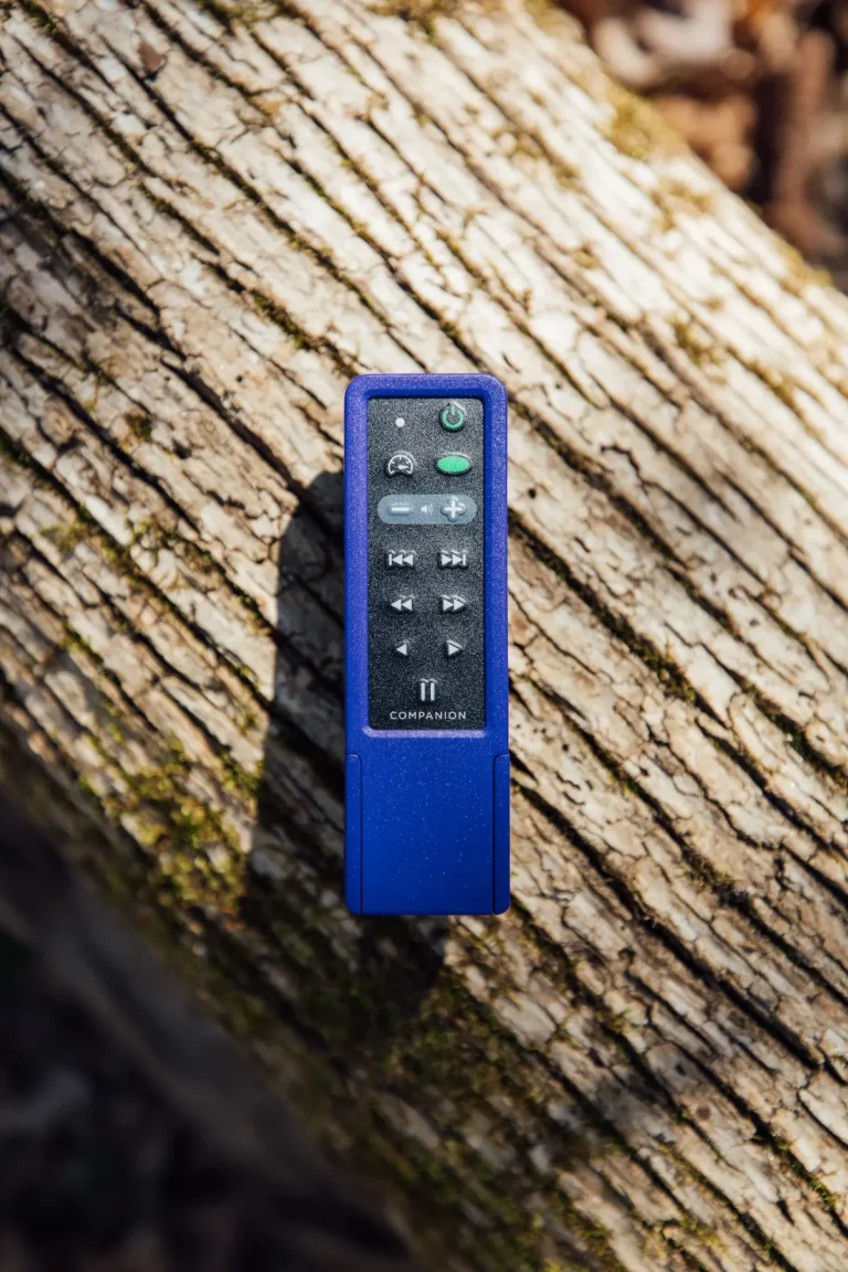 MegaVoice Audio Bible Battery Powered Companion