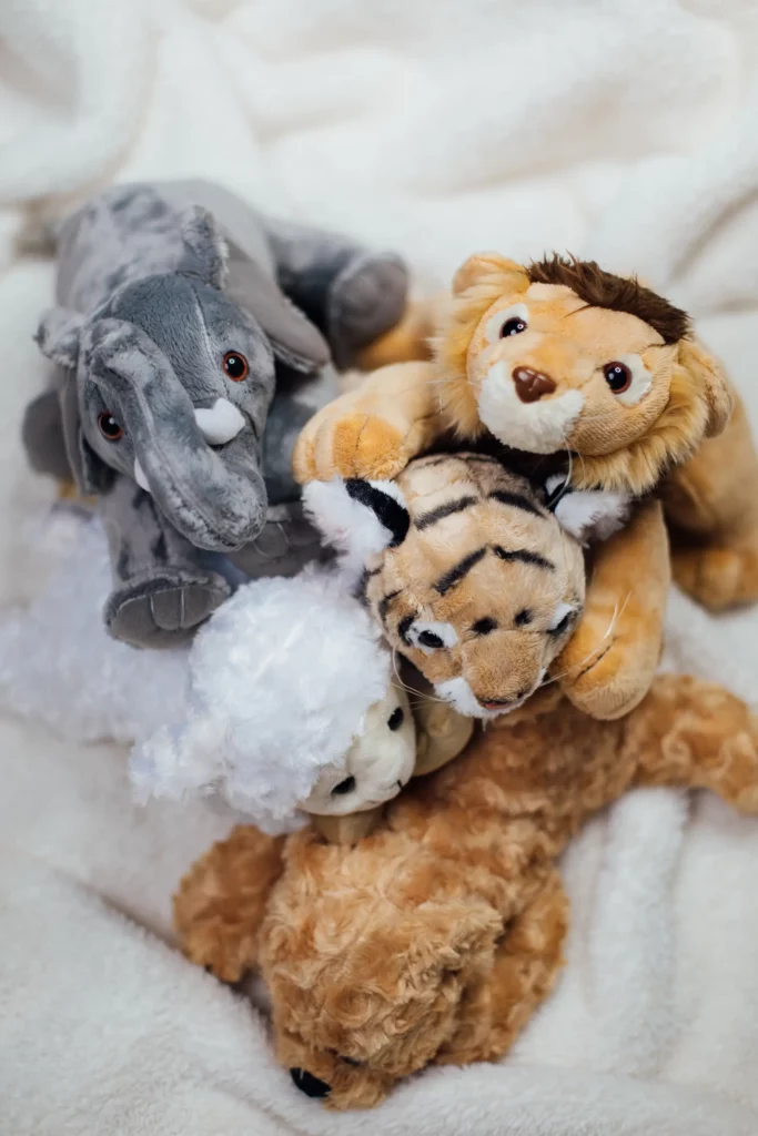 Wildlife Storytellers