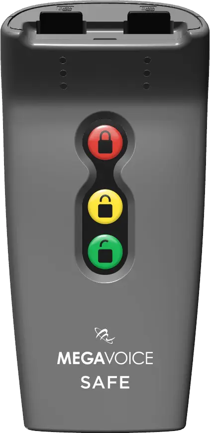 MegaVoice Product Image